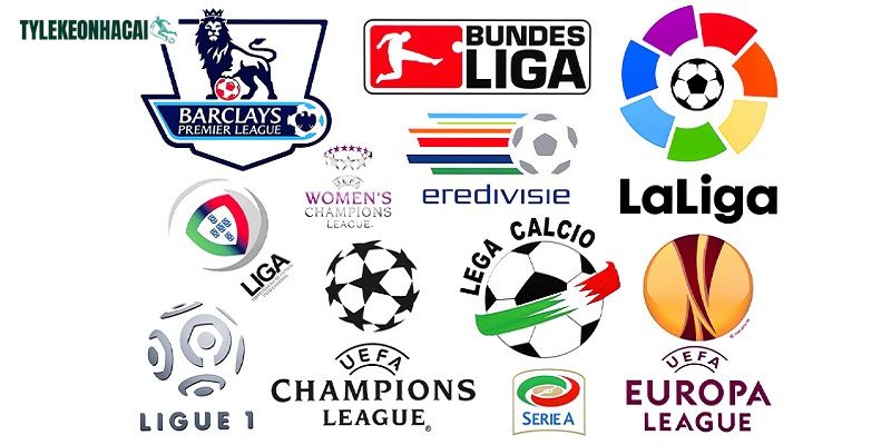 Hầu hết các giải đấu bóng đá và thể thao đều có mặt tại LiveScore Hầu hết các giải đấu bóng đá và thể thao đều có mặt tại LiveScore