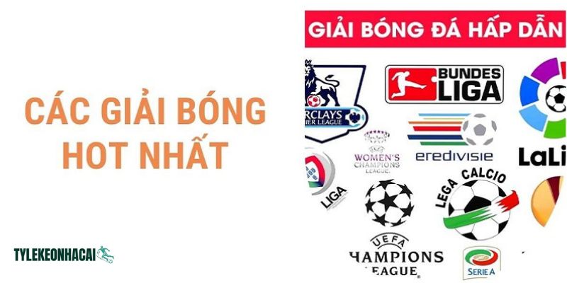 Tại cleverkids.com.mx luôn cập nhật đầy đủ lịch mọi giải đấu bóng