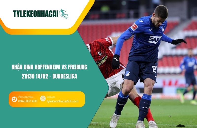 Đội hình dự kiến trước trận Hoffenheim vs Freiburg Đội hình dự kiến trước trận Hoffenheim vs Freiburg